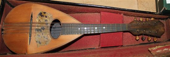 Cased mandolin